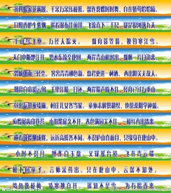 楼体贴
