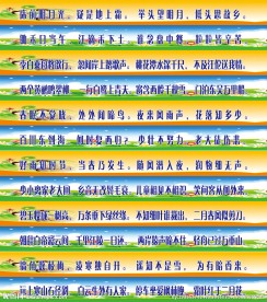楼体贴