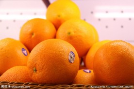 橙子