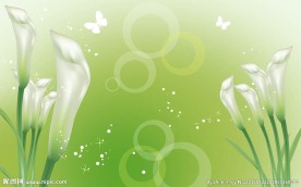 马蹄莲绿色简约背景墙