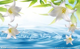 百合水滴现代背景墙