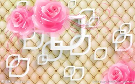 玫瑰立体软包背景墙