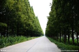乡村公路