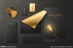 黑色烫金文件VI样机