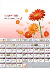 清新花卉风格ppt