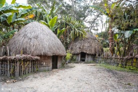 茅草屋背景素材