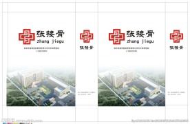 张接骨 手提袋