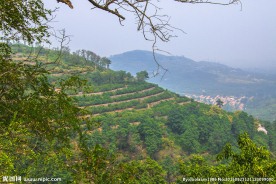 丘陵山坡
