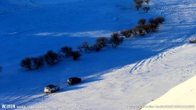 坝上雪景