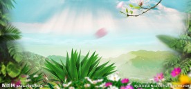 绿色植物小清新背景