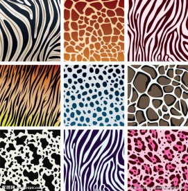 矢量动物纹理图