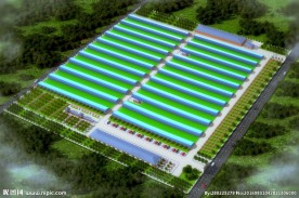 太平曙光效果图