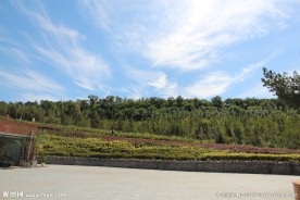 哈尔滨风景