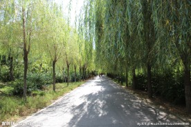 哈尔滨风景