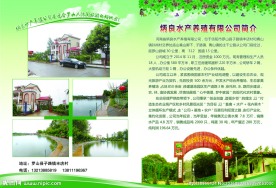 水产养殖公司单页
