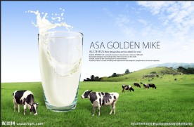 牛奶海报