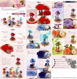 永生花罩瓶详情介绍