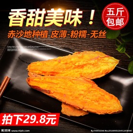 地瓜直通车海报