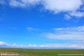 青海湖牧场