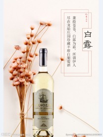 白露 红酒