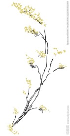 卡通唯美树枝素材