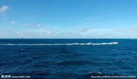 大海