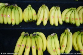 香蕉