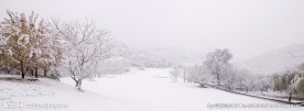 美丽的雪景