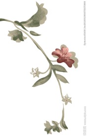 唯美花朵素材