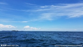 大海