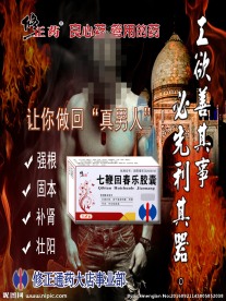 修正七鞭回春乐海报