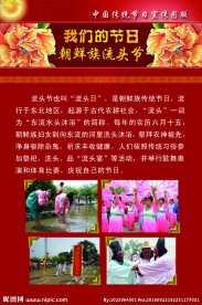 我们的节日之流头节