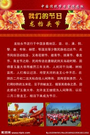 我们的节日之龙抬头