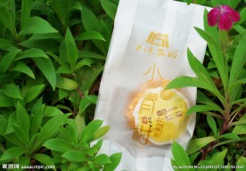 新会柑普茶小青柑
