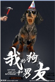 广告海报