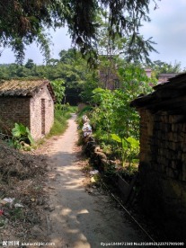 乡村小路