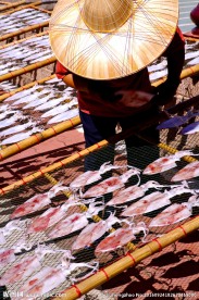 鱿鱼干