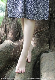 小清新