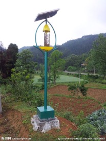 佳多太阳能频振式杀虫灯