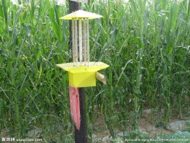 佳多频振式太阳能杀虫灯