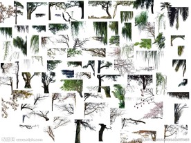 前景树分层次大全