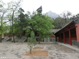 清凉寺内景