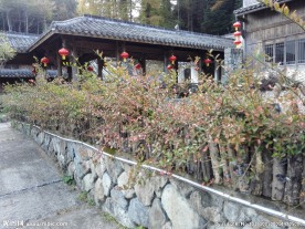 百山祖一角