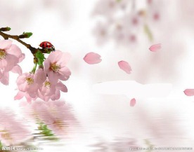 梅花开