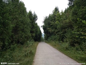 乡间道路