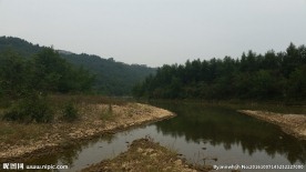 午后的河边风景