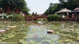 莲花山风景