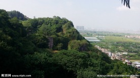 莲花山风景