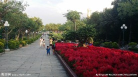 莲花山风景