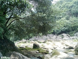 水上石林